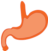 Gastroenterology：哪种<font color="red">口服</font>抗凝药物的胃肠道出血安全性最佳？