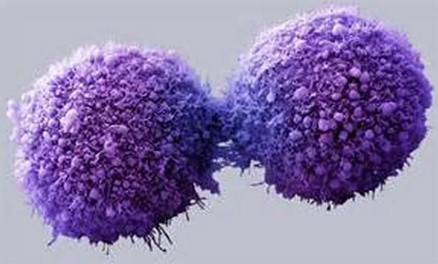 Sci Adv：特殊表观遗传酶在癌症发生和扩散中或扮演关键的角色