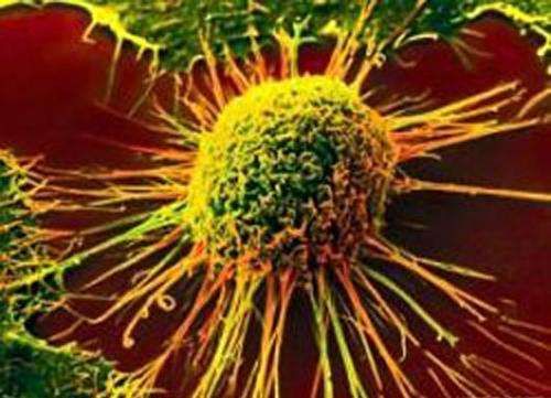 Nature：食管腺癌和食管鳞状细胞癌是两种不同的疾病？