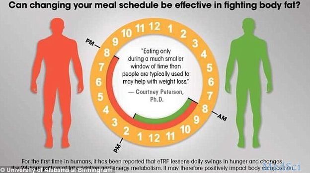 首个人体“限食”减肥试验证实：“过午不食”是有道理的！