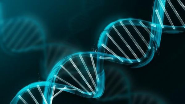 Nature子刊：组蛋白降解或能促进DNA的修复反应
