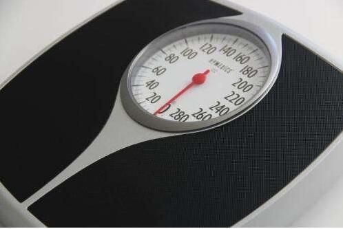 Physiol & Beh：深度剖析为何西方饮食会致人肥胖