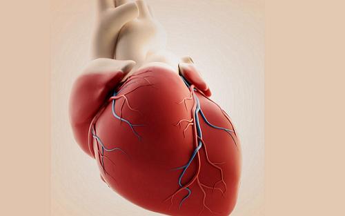 Lancet：<font color="red">压力</font>过大为何会引发心血管疾病？