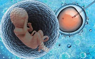 Obstet Gynecol：辅助生殖技术出生的宝宝与自然受孕的宝宝有差别吗？