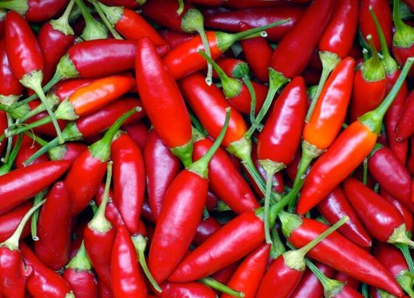 <font color="red">多吃</font>辣椒真的会有利于机体健康！