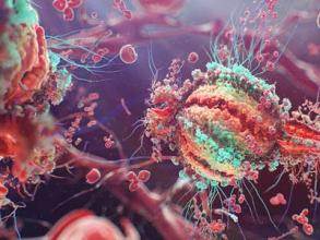 CELL <font color="red">RES</font>：癌症相关病毒的免疫疗法之最新进展