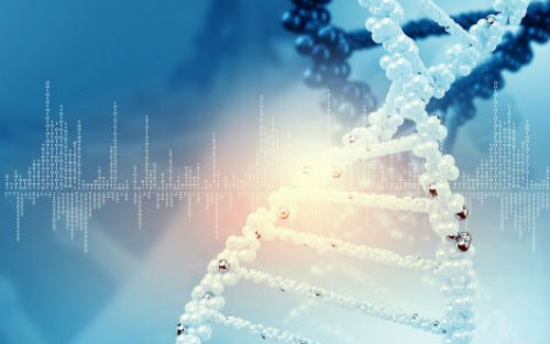 诺奖得主PNAS文章公布最新测序技术：重新定义DNA修复