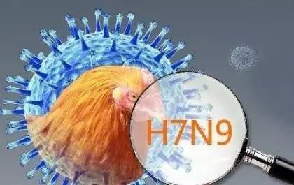 “H7N9“进京”，这次是“狼来了”么？