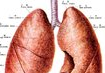 盘点:1月肺癌相关研究新动向