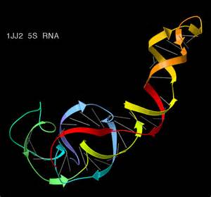 新的<font color="red">RNAi</font>治療劑可治療眼部炎癥