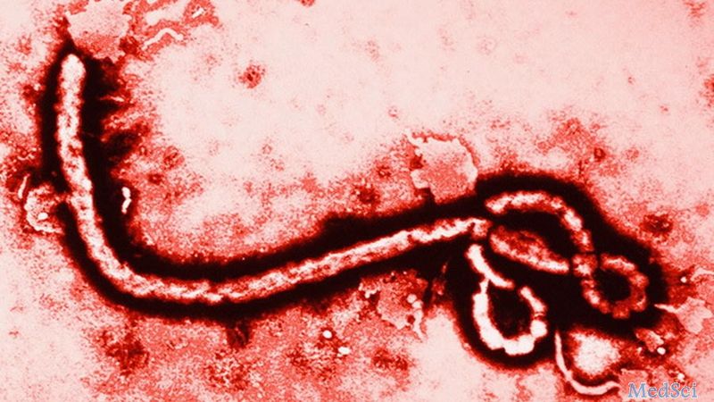 埃博拉病毒：超级传播者是 60% 病例的<font color="red">原因</font>