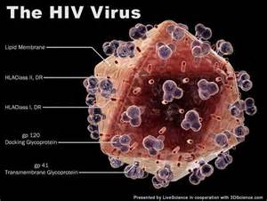 研究人员提出了一种基于药物评估的艾滋病毒预防的新方法
