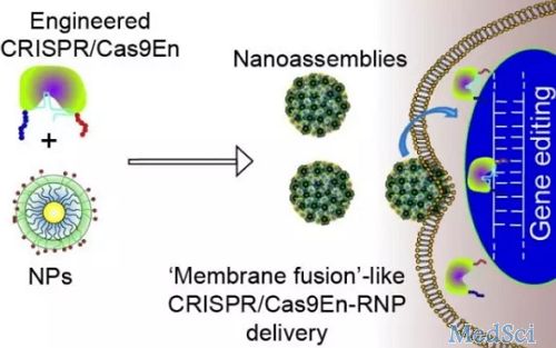 极大提高CRISPR编辑效率，这项纳米技术神在哪里？