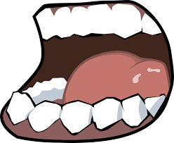 牙齿磨损的病因、分类及修复重建治疗进展