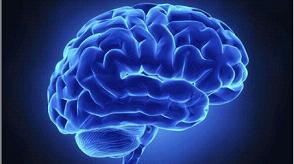 复制大脑 “永生”成真？