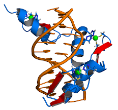 Nature Methods：便携、<font color="red">低成本</font>的单细胞RNA测序新手段