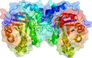 哈佛研究人员开发<font color="red">快速</font>鉴定微生物酶的新工具