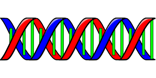 Science：<font color="red">生物</font>界“新宠”基因驱动，消除疟疾<font color="red">的</font>“利器”