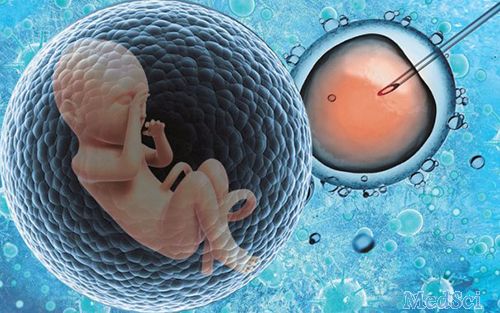 西部首例单基因病试管婴儿在渝诞生