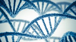 CRISPR <font color="red">女神</font>最新《Nature Biotechnology》报道 CRISPR-Cas9 新进展