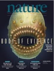 Nature杂志2月不得不看的亮点研究