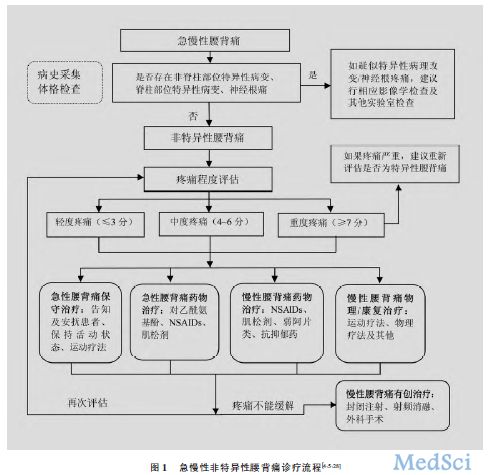 中国急/慢性非特异性腰背痛诊疗专家共识