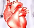 【一文了解】近期有关心脏病最新研究进展