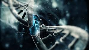 Nature 重大突破： CRISPR 让 CAR T 细胞“飞跃”