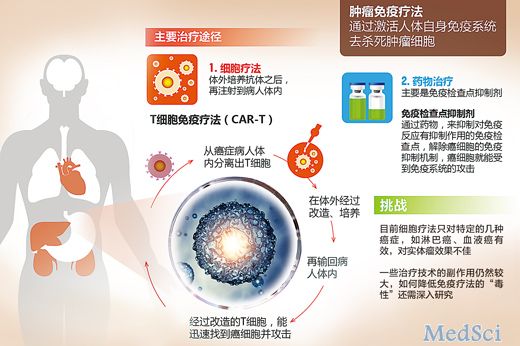 人民日?qǐng)?bào)：專家詳解免疫療法如何治療腫瘤