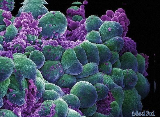 Nature 子刊：逆转癌细胞的基因重编程