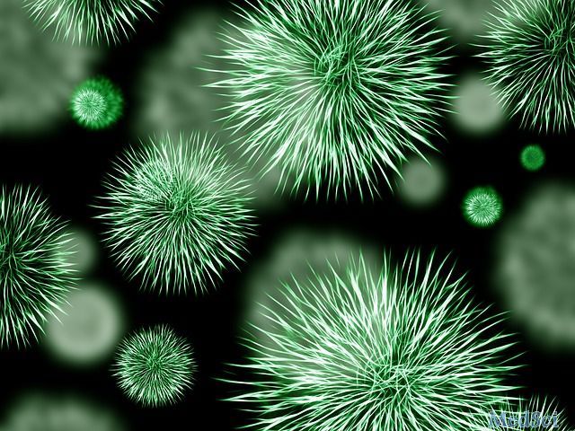 新研究解释了为什么普通细菌对于一些人是致命的，对于其他人却无碍