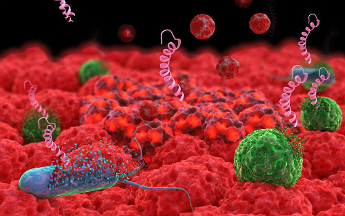 Cell<font color="red">里程碑</font>研究：精准“吃”微生物治病不再遥远