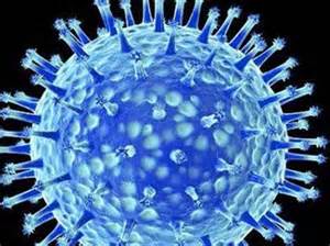 钟南山：H7N9病毒出现耐药变异株