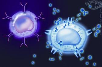 CELL：人类适应性免疫救援固有免疫的先天性错误