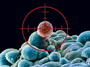 Cell最新研究探讨<font color="red">癌细胞</font>的“喷射器”