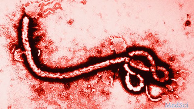 埃博拉病毒关键蛋白合成机制揭示