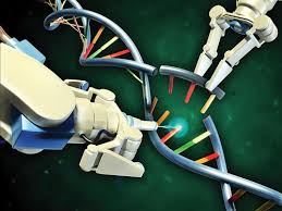人类基因组编辑报告：我们应如何平衡其利益和风险