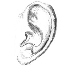 专题：关爱听力障碍患者，3月3日全国爱耳日，耳聋耳鸣<font color="red">指南</font>合集