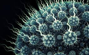 武汉病毒所利用多肽抑制剂成功阻断乙脑和寨卡病毒感染