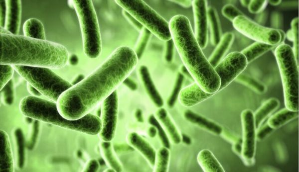 多篇文章阐明肠道微生物与机体健康的密切关联