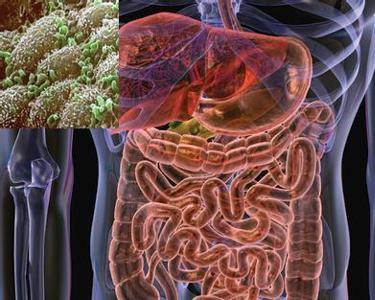 微生物所肠道菌群和炎症性肠病研究获进展