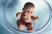 NAT CELL BIOL：人工配子？ 配子早期发育机理研究或为不孕不育症攻克提供思路