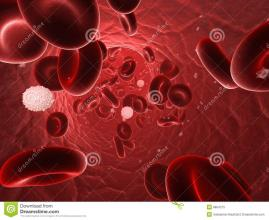 Blood: 骨髓内血癌细胞调节脂肪细胞代谢创造出一个利于癌细胞生长的微环境