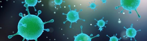 Cell Host & Microbe：武汉大学舒红兵课题组发现病毒逃避免疫反应的机制