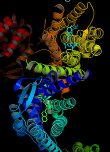 Science：【超越17年的新发现】蛋白<font color="red">折叠</font>远比描述的更为复杂