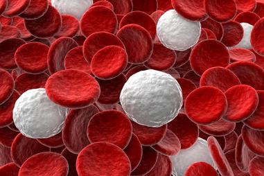 Nature：癌症表观<font color="red">遗传学</font>-发现白血病关键蛋白