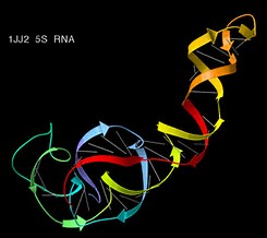 今天的RNA-based<font color="red">疗法</font>，犹如1997年的单抗