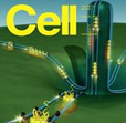 【盘点】3月Cell杂志精选文章一览