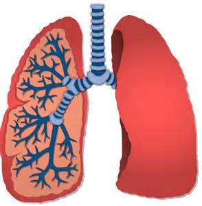 提高肺癌早诊早筛 加快建立规范诊疗流程