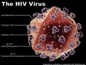 Nature：广谱的抗HIV中和抗体疗法优于抗HIV反转录的鸡尾酒疗法
